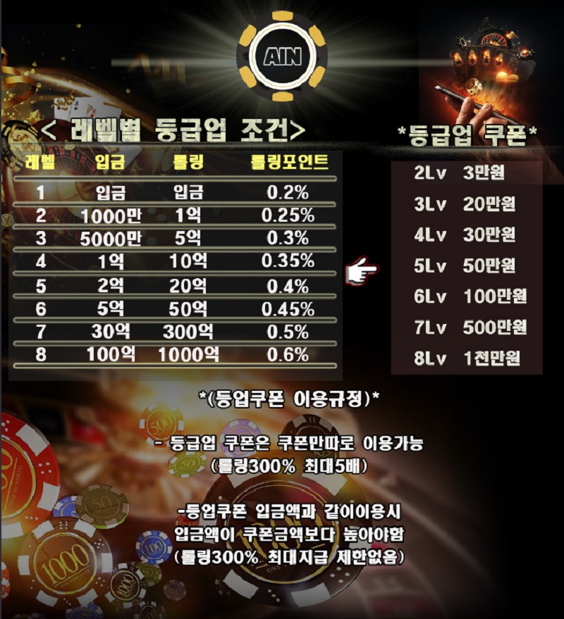 카지노사이트 아인카지노 바카라사이트