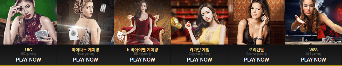 카지노사이트 플러스카지노 바카라사이트